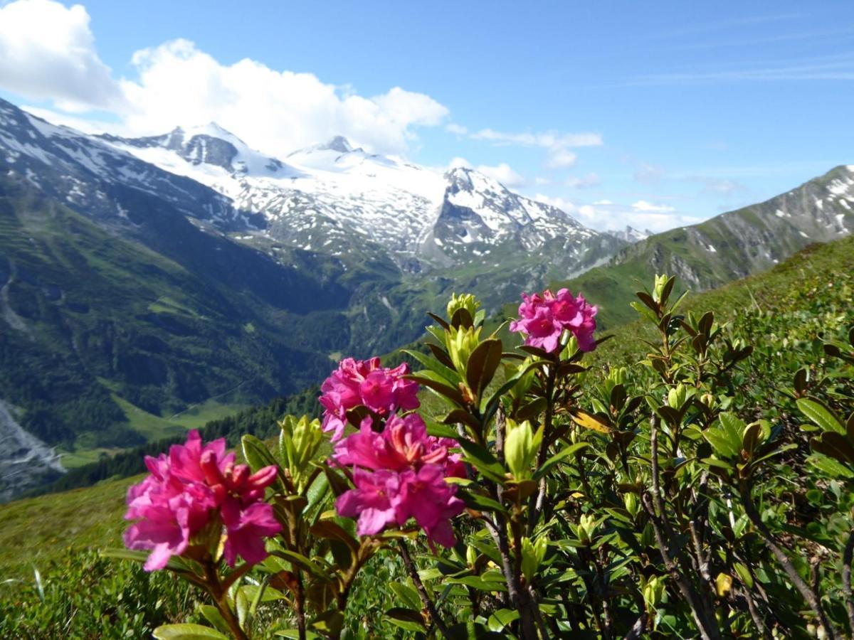 Ferienwohnung Alpenheim Tux Eksteriør bilde